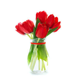Rote Tulpen